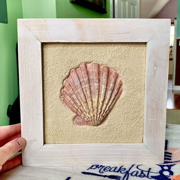 3D Wall Hanging Nautical Coastal Seashell Framed Home Decor Display - Picture 1 of 6
